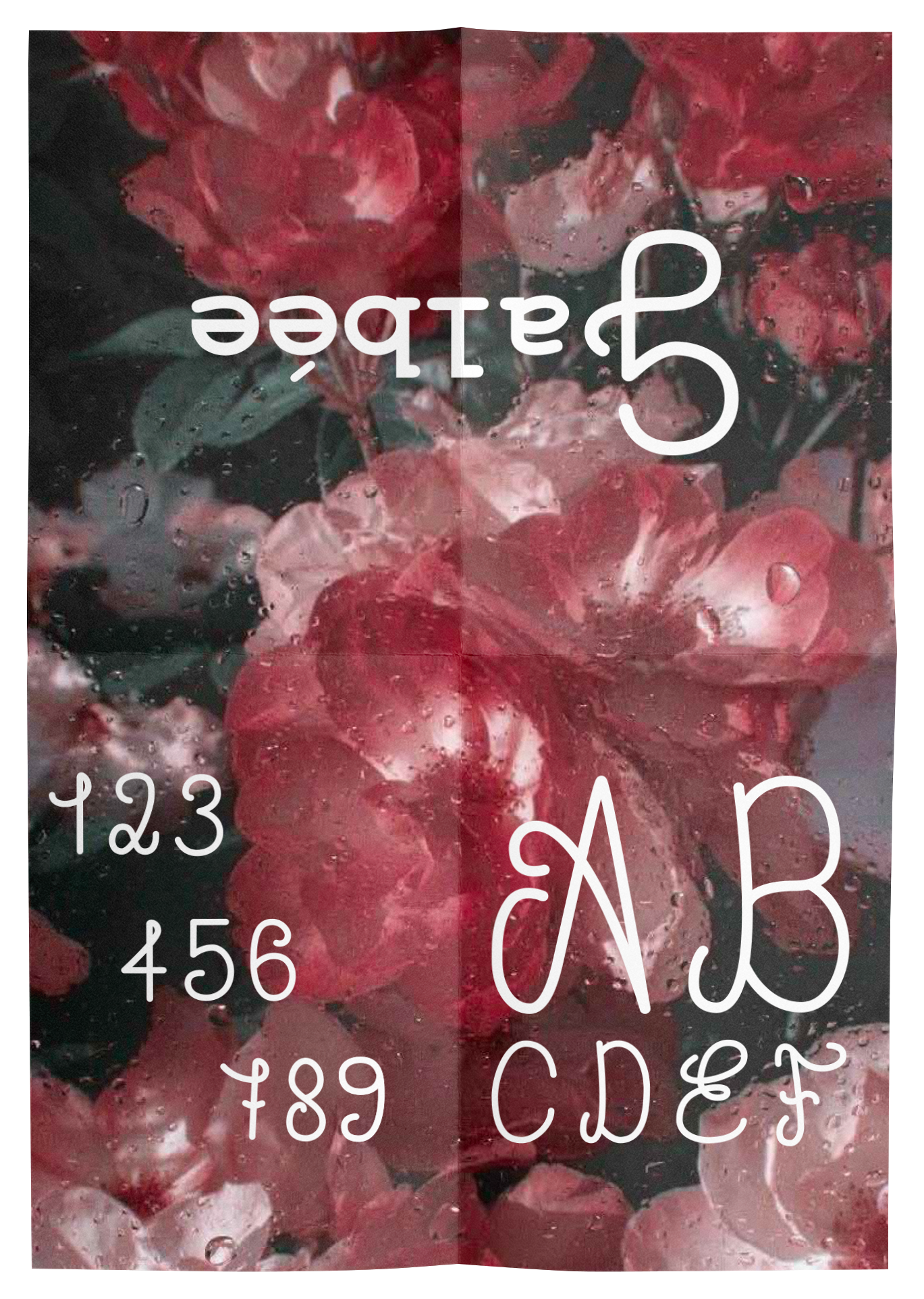 Galbée Arrondie — affiche spécimen